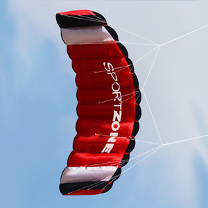 Cerf-volant de Sport à 2 lignes de 2.5m, nouveau design - Product Image 2