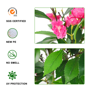 Árbol de flores de boj, bonsái, plantas artificiales, flor de melocotón, rosa, hojas verdes, personalizables, en <span class=keywords><strong>maceta</strong></span> - Product Image 4