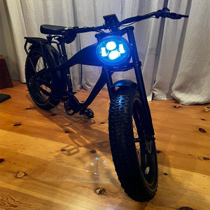 Vélo électrique urbain à pneus larges de 26 pouces, 1000W, double batterie, style rétro vintage, confortable, en stock aux États-Unis, pour le marché européen. - Product Image 1