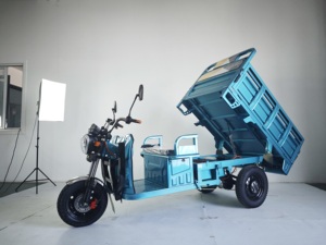 Tricycle électrique à 3 roues <span class=keywords><strong>1500W</strong></span> à prix abordable pour le transport de marchandises - Product Image 3