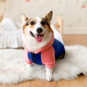 Vêtements pour chiens <span class=keywords><strong>Corgi</strong></span>-Sweat-shirt léger pour les races petites à moyennes, parfait pour le printemps et l'automne - Product Image 6