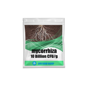 Migliorare la resa delle colture micorriza batterio biologico Bio-fertilizzante Mucilaginosus biofertilizzante - Product Image 1