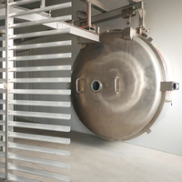 Commerciële grote capaciteit lage temperatuur vriesdrooginstallatie vacuümsublimatielijn voor de productie van aardbeien, durian en fruitchips