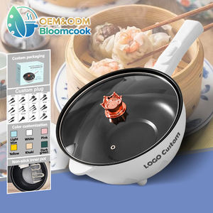 Cuisinière Commerciale Bloomcook OEM 2025 Grande Capacité, Chauffage Rapide, Antiadhésive, Mini, Portable, Électrique, Gaz, pour Camping-car, Marmite Chauffante - Product Image 1