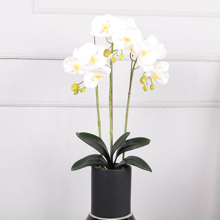 หัวใจสีขาวและสีเหลือง