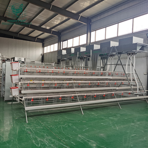 짐바브웨에서 판매되는 새 3단 128마리 수용 닭장, 급이기 설계 타입, 산란계용 가금류 농장용 - Product Image 6