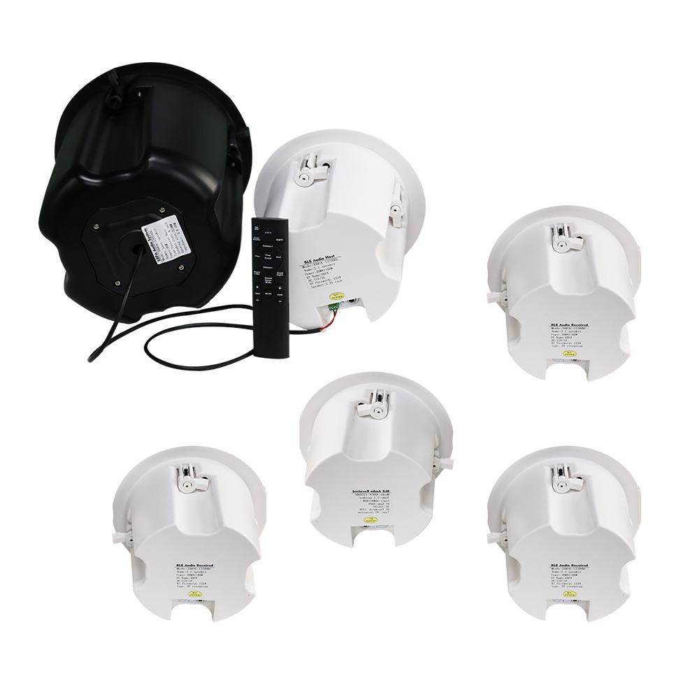 Multi-Room Ceiling Speaker 6W-120W 4-8" Dolby Digital DTS AirPlay Wireless Charger AUX Connectivity · image 6