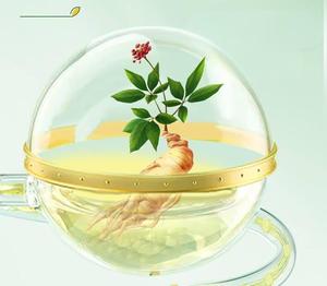 高純度マトリン | <span class=keywords><strong>Sophora</strong></span>フレーバーからの天然植物アルカロイド抽出物 | 98% + 純度 (HPLC) - Product Image 3
