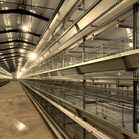 Conception de ferme avicole entièrement automatisée sur mesure pour poulets de chair et poules pondeuses