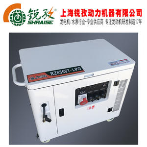 Générateur à essence Raise G-Power RZ8500CX 8,5 kW monophasé 220 V 380 V, moteur refroidi par air, alimentation portable - Product Image 3