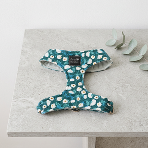 Harnais pour chien et chat en coton confortable de qualité supérieure, style élégant et tendance, respirant, accessoire personnalisé pour animaux de compagnie, vente en gros - Product Image 1
