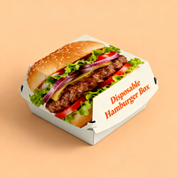 Harga Terjangkau Produk Baru Kualitas Bagus Kotak Burger Ramah Lingkungan Biodegradable Dapat Didaur Ulang Kemasan Sekali Pakai Tersedia OEM
