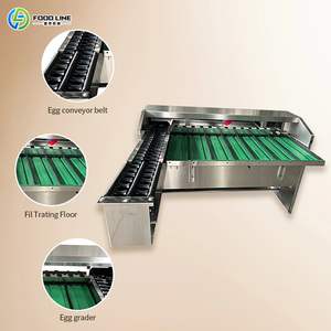Meilleure machine automatique d'emballage de douzaines d'œufs de poule avec emballageur et trieuse - Product Image 6