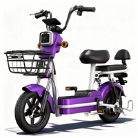 Scooter Eléctrico Ligero de Dos Plazas en Oferta, Batería de Litio de 48V, Bicicleta Eléctrica para Viajes Urbanos Cortos