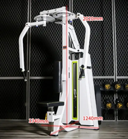 Máquina de Poleas para Ejercicios de Dorsal y Triceps