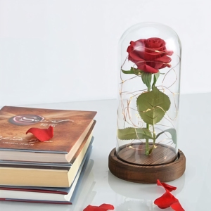 Rosa Eterna en Cúpula <span class=keywords><strong>de</strong></span> Cristal para <span class=keywords><strong>Despedida</strong></span> <span class=keywords><strong>de</strong></span> <span class=keywords><strong>Soltera</strong></span>, Día <span class=keywords><strong>de</strong></span> la Madre, Decoración <span class=keywords><strong>de</strong></span> Mesa para Recepción <span class=keywords><strong>de</strong></span> Boda, <span class=keywords><strong>Sorpresa</strong></span> <span class=keywords><strong>de</strong></span> Cumpleaños, Aniversario <span class=keywords><strong>de</strong></span> Matrimonio - Product Image 1
