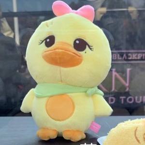 พวงกุญแจรูปตุ๊กตา ROSE จากการทัวร์คอนเสิร์ต KPOP Cartoon World Tour <span class=keywords><strong>แบ</strong></span>บขายส่ง พิมพ์ลายด้วย UV รูปทรง 3 มิติ ทำจากผ้าฝ้าย PP - Product Image 3