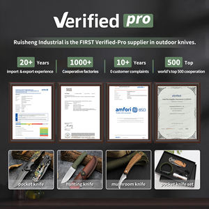 Couteau à champignons à manche en bois tranchant, pour le <span class=keywords><strong>camping</strong></span>, le jardinage en plein air, couteau à champignons pliant avec brosse, offre spéciale - Product Image 2