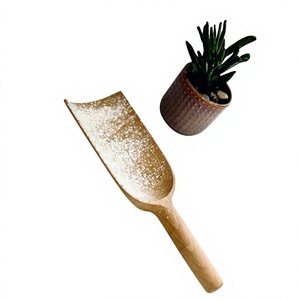 Cuillère en bois naturel écologique au design classique, manches longs et courts, pour café, sucre, sel de bain, thé (capacités de 10 à 30 ml) - Product Image 3