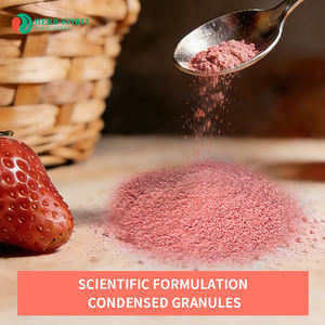 Herbspirt 2026 Nuovi Prodotti Estratto di Fragola Granulare Biologico Idrosolubile in Forma Granulare - Product Image 4