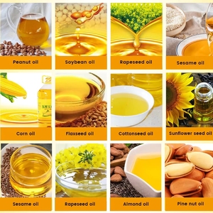 Macchina per Estrazione e Spremitura di Olio di Cocco, <span class=keywords><strong>Pressa</strong></span> Automatica a Freddo per Olio Biologico - Product Image 4