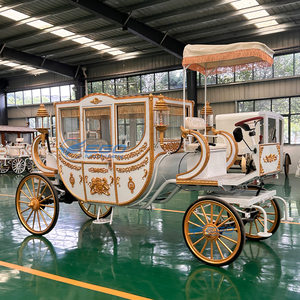 Carruaje Eléctrico de Estilo Real Más Vendido para Bodas y Turismo, Color Personalizado, Neumáticos de Goma Sólida, Uso en Parques de Atracciones - Product Image 3