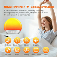 Réveil Lumineux Simulateur d'Aube avec Radio FM, Sons Apaisants et Bruit Blanc, Lampe de Nuit 7 Couleurs, Double Alarme, Fonction Snooze, Alimentation USB, en Plastique
