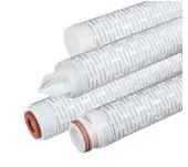 Filtration Cartridge 10" 0.45 Um PTFE Membrane Air Cartridge Filter For Biogas Filtration