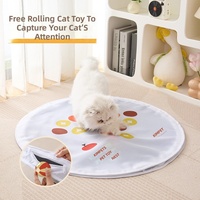 Jouet de chasse pour chat interactif moderne en plastique, mouvement automatique, divertissement autonome, portable, anti-stress, exercice intérieur