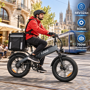 Vélo cargo électrique longue portée D32 750W 48V 32Ah Roue de 20 pouces 80Nm de couple Batterie intégrée Frein à disque - Product Image 1