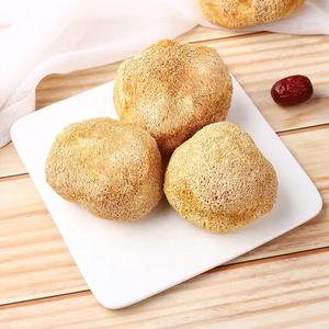 Melena de León de Alta Calidad, Melena de León de Montaña Profunda, Hongo Melena de León Grande, <span class=keywords><strong>Hericium</strong></span> <span class=keywords><strong>Erinaceus</strong></span> - Product Image 2