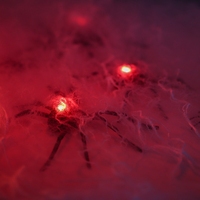 Jouet araignée LED pour Halloween, décoration de fête, accessoire d'araignée noire simulée