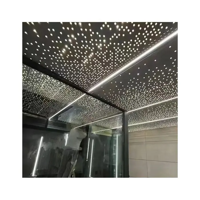 Soffitto in metallo di alluminio con pannello perforato decorativo intagliato in acciaio inossidabile personalizzato di vari modelli