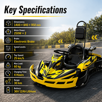 Kart électrique Shenghua |   Kart de course haute vitesse avec combo de jeu immersif et système d'alimentation embarqué 36V