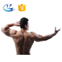 Poudre de protéines pour la prise de masse créatine musculation fitness hommes femmes pour gagner du muscle gym prise de poids rapide poudre de protéines de lactosérum