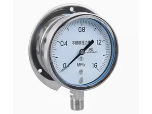 Manômetro Resistente a Choques com Faixa de -<span class=keywords><strong>1</strong></span> a <span class=keywords><strong>6</strong></span> <span class=keywords><strong>MPa</strong></span>, Manômetro Marinho em Aço Inoxidável 304, Fabricado na China Continental - Product Image 4