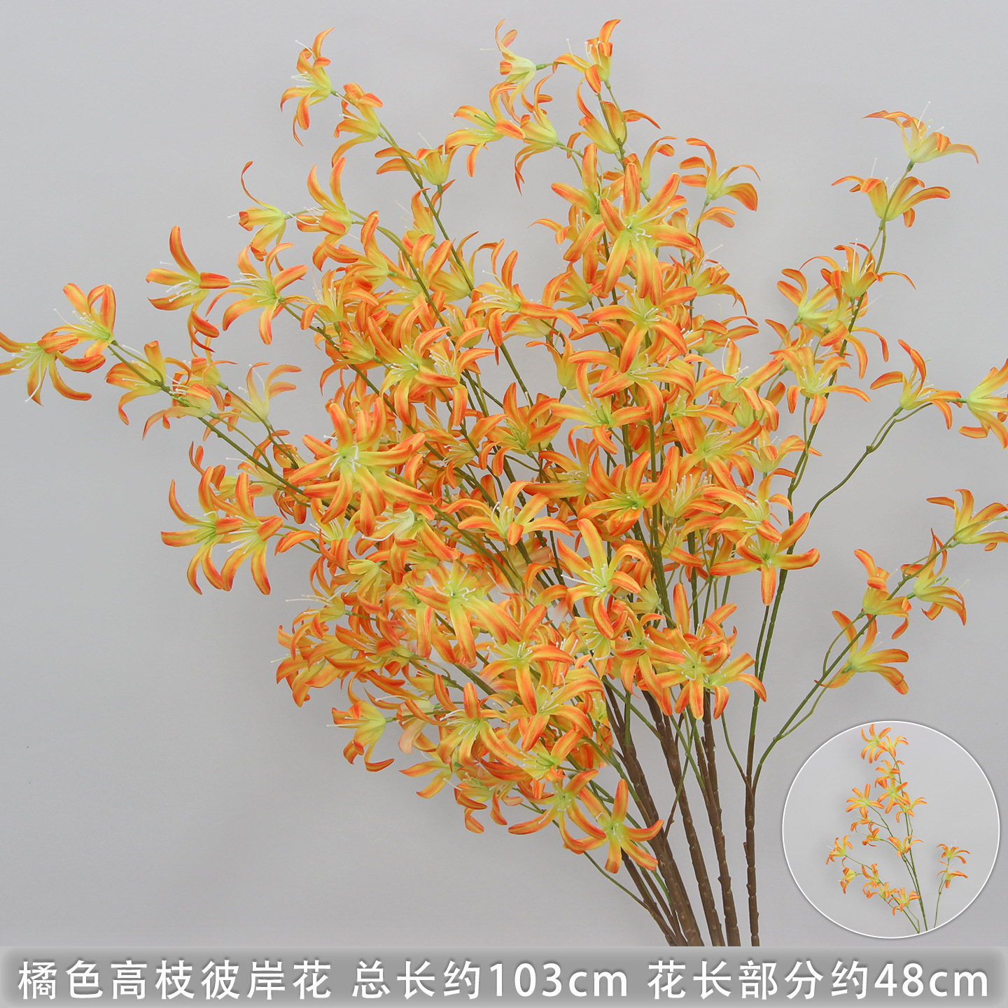 Orange-colored high-branched spider lily branches