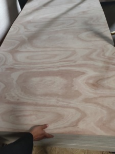 <span class=keywords><strong>Contreplaqué</strong></span> flexible mince en Paulownia, bouleau et noyer, 3mm 4mm 6mm 9mm, E0, moderne - Product Image 3