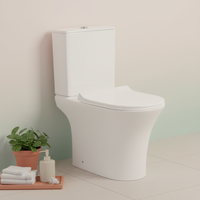 Offre Spéciale – Ensemble WC de Luxe Moderne Européen en Céramique à Double Chasse Gravitaire, Cuvette et Siège de Toilette