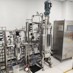 Bioreactor văn hóa của vi khuẩn 10 LÍT DIESEL sinh học sản xuất máy BLBIO-SJA - Product Image 3