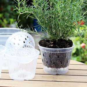 Vasi per <span class=keywords><strong>Orchidee</strong></span> in Plastica Trasparente Durevole JQ, Vasi per Piante Phalaenopsis, Contenitori in Plastica Trasparente per <span class=keywords><strong>Orchidee</strong></span> - Product Image 1