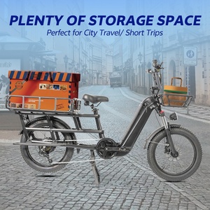 E-Bike Fat Tire a Scavalco Basso a 7 Velocità 500W 48V 20Ah, Bici Elettrica Fat Tire in Alluminio, Bici da Carico Elettrica - Product Image 3