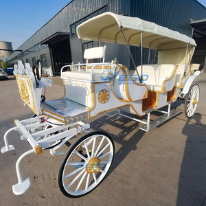 Carro de Turismo Eléctrico de Lujo Europeo, Carroza Turística, Buggy Eléctrico, Carritos de Caballos para Exteriores en Venta - Product Image 3