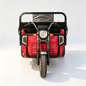 Tricycle de fret électrique hybride polyvalent avec benne basculante hydraulique et utilisation pour machines de chantier ou d'ingénierie - Product Image 2