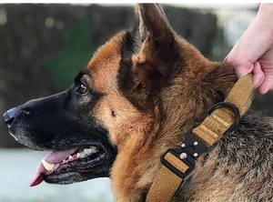 Collar para Mascotas, Juego de Correa para Perro, Anillo para Perro, Collar Táctico de Nailon Resistente, Collar de Entrenamiento para Perros para Caminar al Aire Libre - Product Image 2