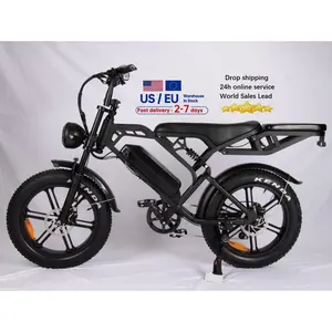 电动胖自行车V20 Pro 2座电动自行车velo电动摩托车电动自行车250W电动自行车男子自行车