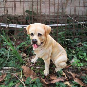 Molde de resina personalizado de fábrica, estatueta de <span class=keywords><strong>labrador</strong></span>, estátua de cão, design criativo, escultura, artesanato de resina realista, animal - Product Image 3