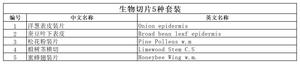 Juego de 5 Portaobjetos Preparados para <span class=keywords><strong>Microscopio</strong></span> de Biología: <span class=keywords><strong>Cebolla</strong></span>, Judía, Pino, Madera de Pino y Abeja, para Laboratorio Estudiantil - Product Image 2