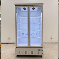 Congélateur vertical à double porte vitrée, refroidissement par air, congélation rapide, 1000L, pour glacier