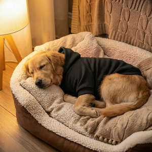 Op maat gemaakte rode hoodies en hoodies voor grote golden retrievers, hondenkleding van puur polyester - Product Image 4